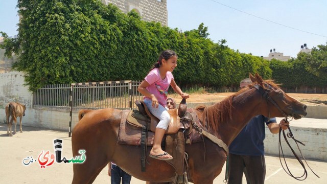 كفرقاسم - فيديو  : تعليم هواية ركوب الخيل في مدرسة جنة ابن رشد في اليوم الرابع لصيف الصادقة 